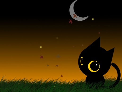 El Gatos